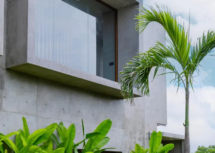Kona - *